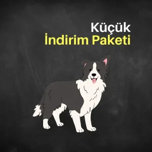 Küçük İndirim Paketi