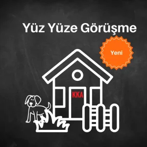 Yüz Yüze Görüşme