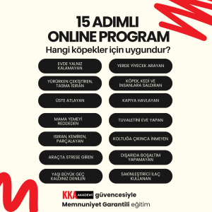 15 ADIMLI ONLINE PROGRAM