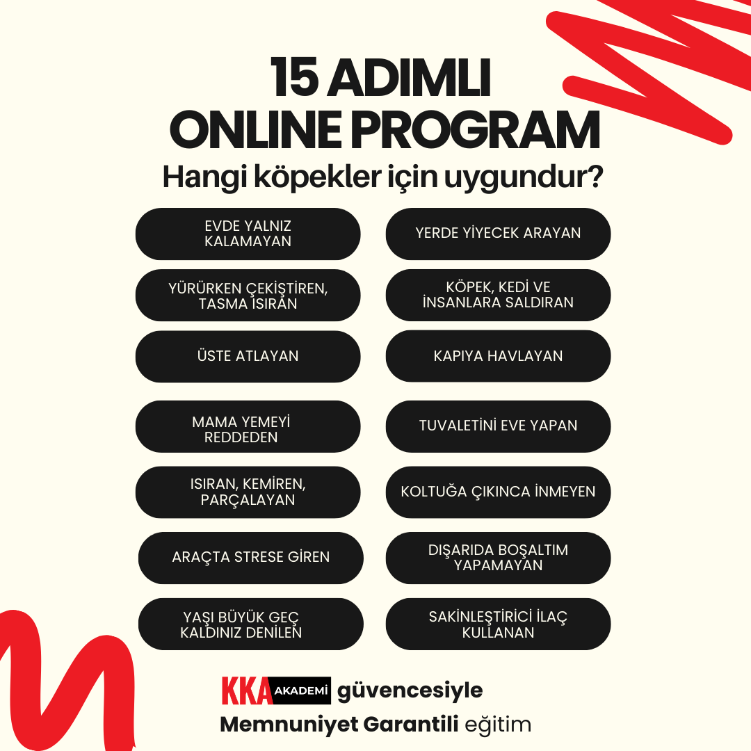 15 ADIMLI ONLINE PROGRAM