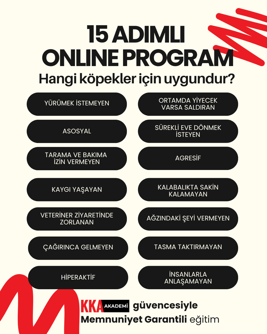 15 ADIMLI ONLINE PROGRAM - Görsel 3
