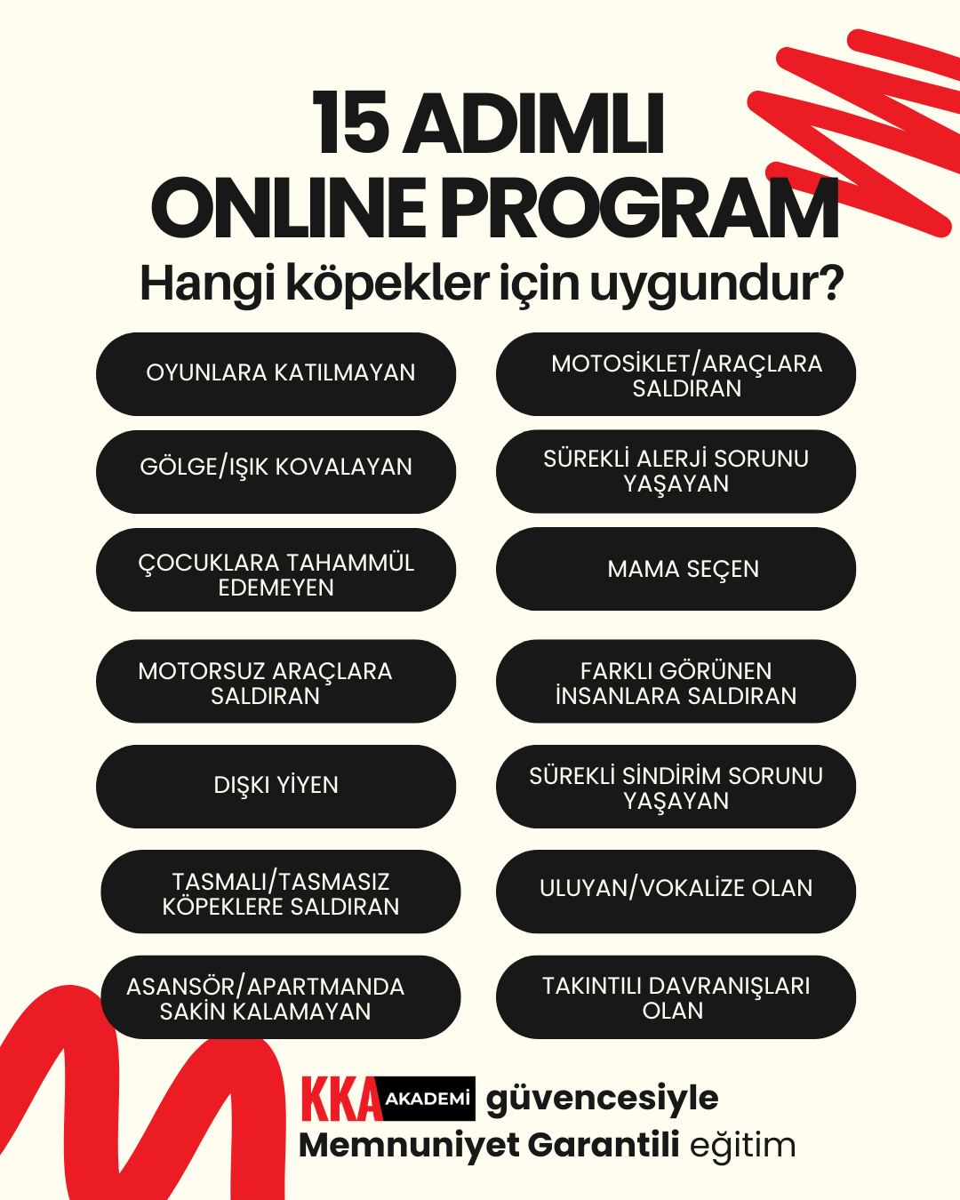 15 ADIMLI ONLINE PROGRAM - Görsel 2
