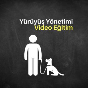 Yürüyüş Yönetimi Video Eğitimi