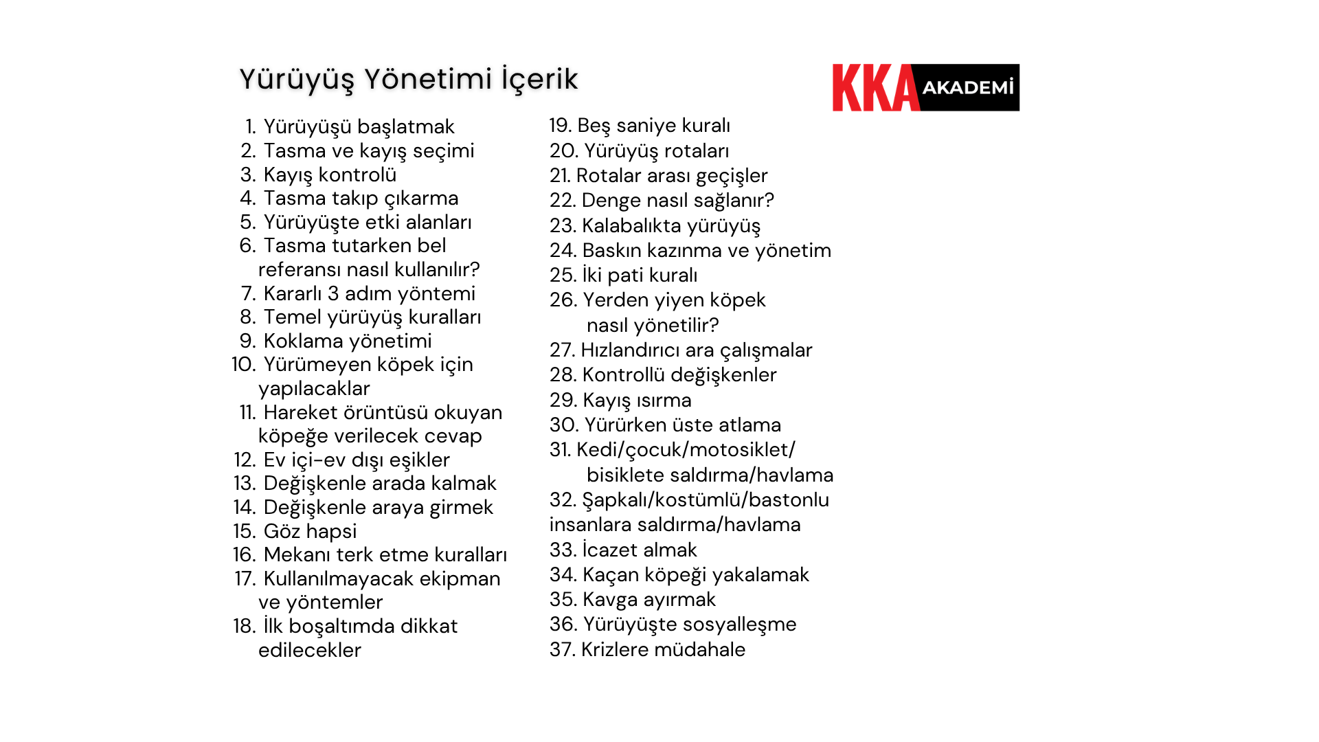 Yürüyüş Yönetimi Video Eğitimi - Görsel 3