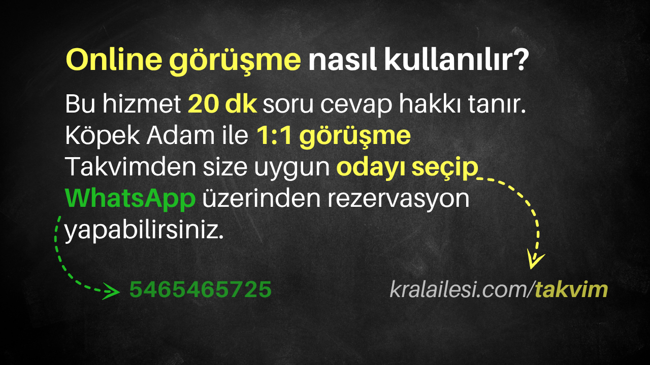 Köpek Beden Dili Video Eğitimi - Görsel 3