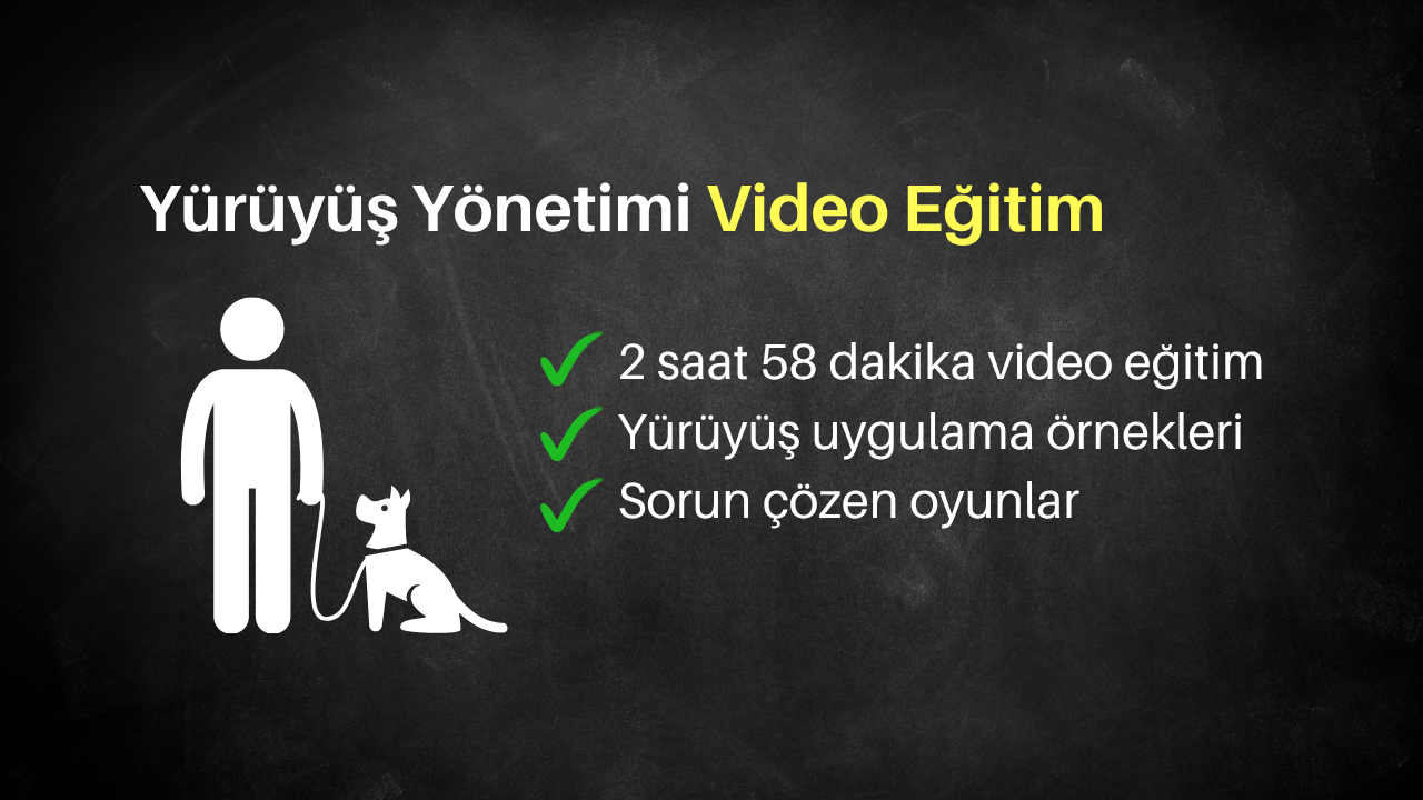 Yürüyüş Yönetimi Video Eğitimi - Görsel 2