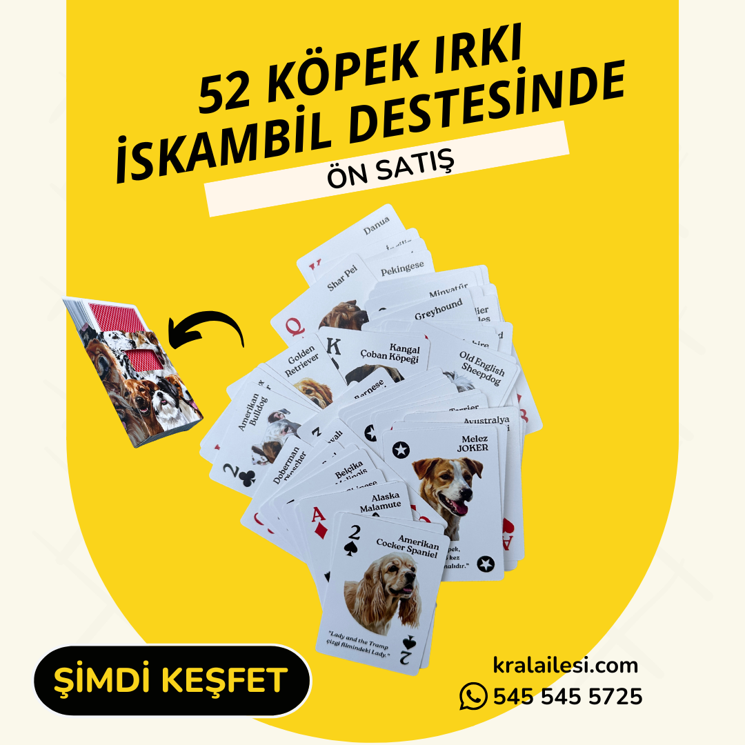 52 Köpek Irkı İskambil Destesi - Görsel 2