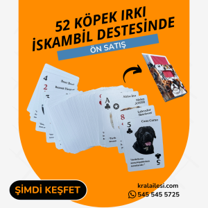 52 Köpek Irkı İskambil Destesi