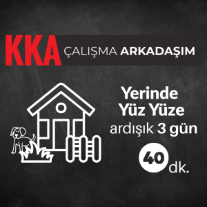 Çalışma Arkadaşım