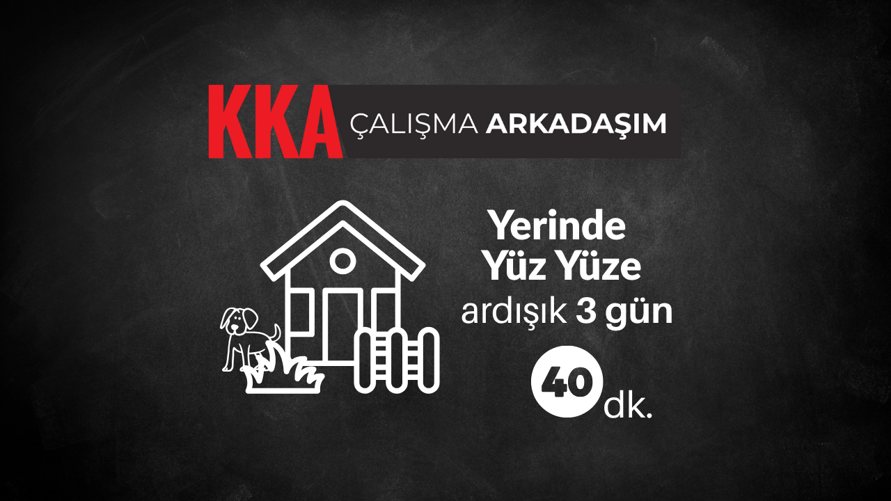 Çalışma Arkadaşım