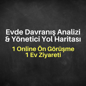 Evde Davranış Analizi & Yönetici Yol Haritası (İstanbul)