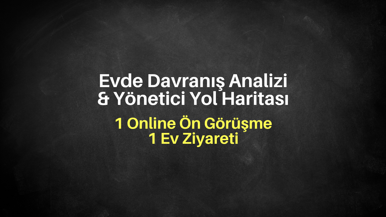 Evde Davranış Analizi & Yönetici Yol Haritası (İstanbul)